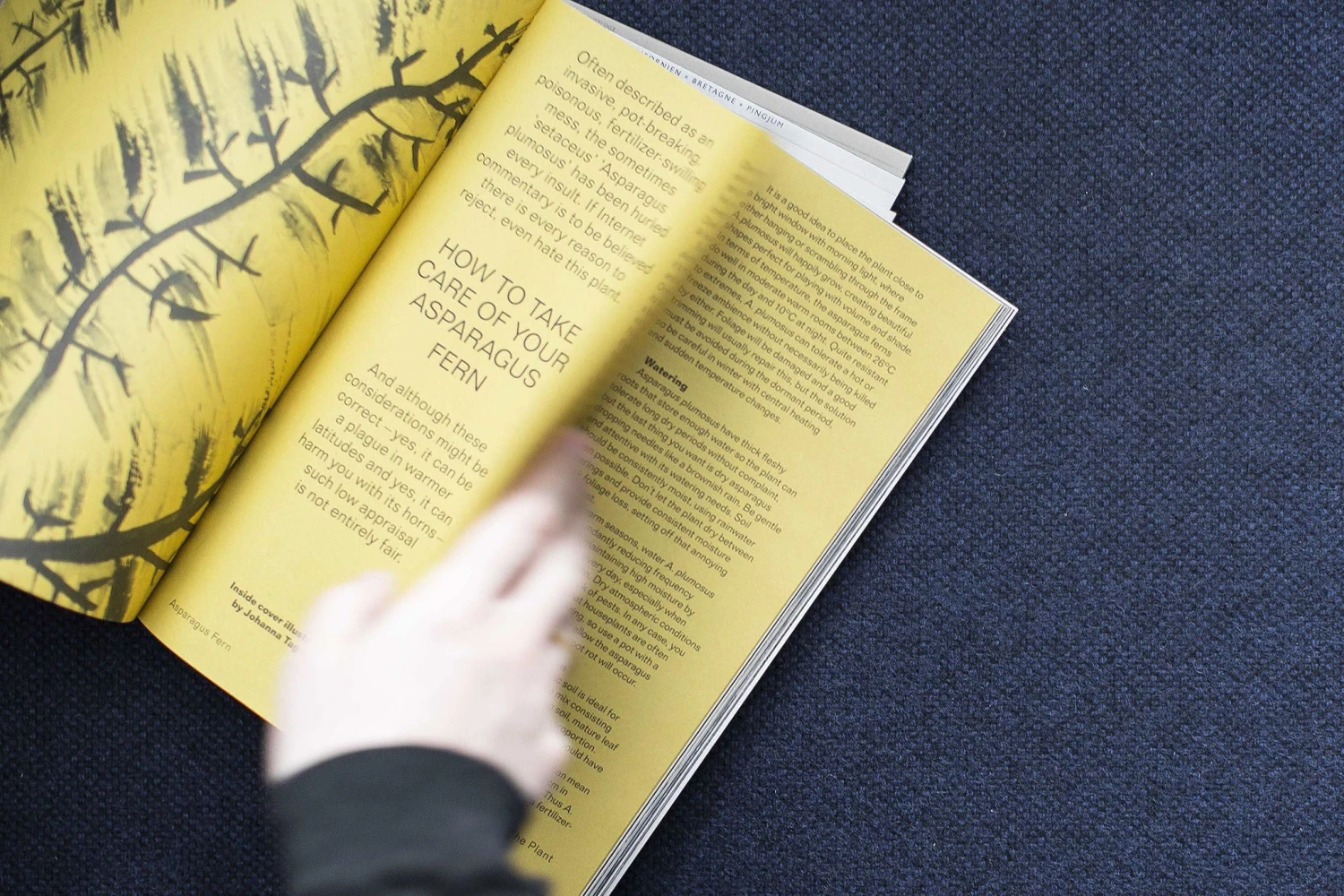 Hem Palo Modular 2-Seater Sofa Furniture 24 Hem Palo Modular 2-Seater Sofa Furniture